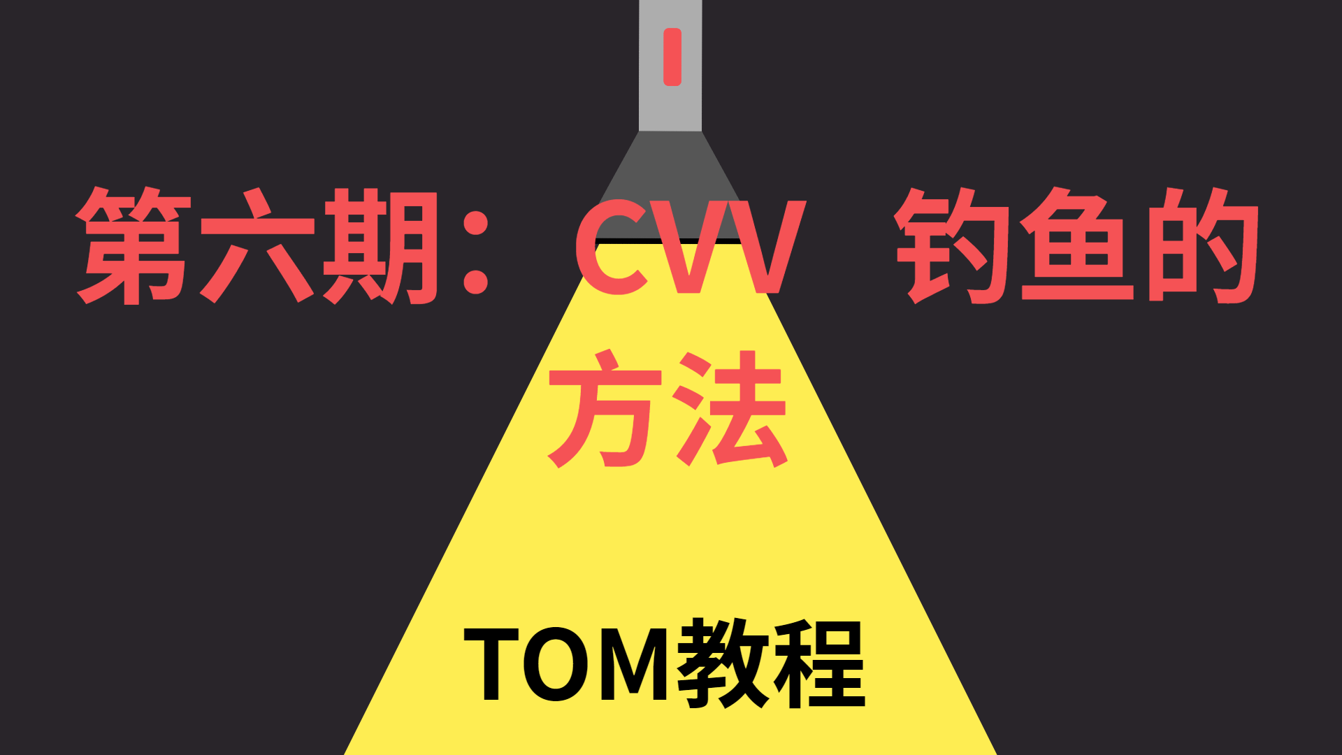 VIP视频  第六期：钓鱼的方法