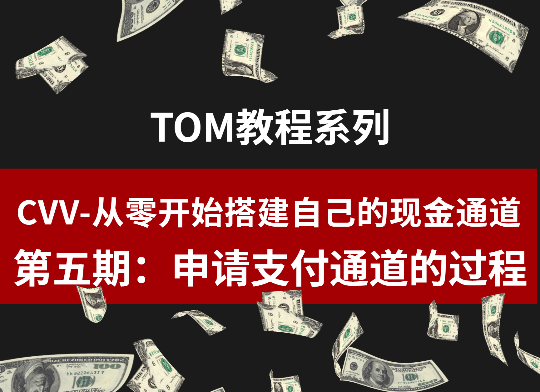 CVV-从零开始搭建自己的现金通道—第五期 申请支付通道的过程
