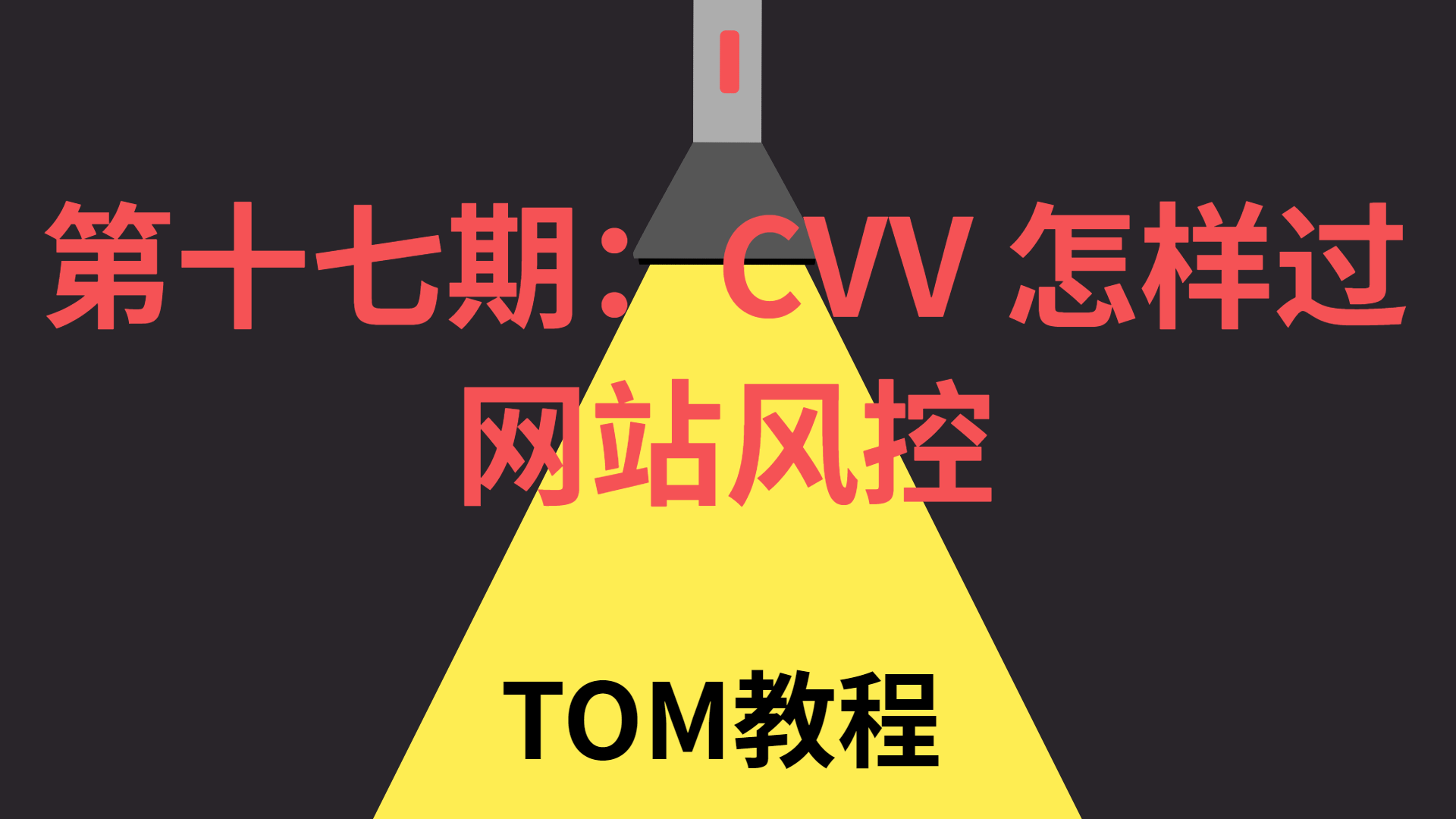 第十七期：CVV 怎样过网站风控